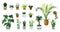 Houseplants. Cartoon home and office cozy plants in flowerpots. Decorative palm, bamboo or ficus in pots. Isolated