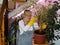 Houseplants grow under artificial lighting in a private house in winter. The woman looks after and admires the plants. Plant