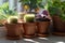 Houseplants - Mammillaria cactus, flowering Saintpaulia mini, Epipremnum in terracota clay pot on windowsill at home