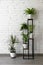 Houseplants on modern metal plant stand by white brick wall. clean fresh air at home