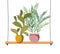 Houseplants with potted on shelf isolated icon