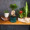 Houseplants in stylish dark interior. Potted plants on wooden table. Home decor.