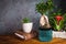 Houseplants in stylish dark interior. Potted plants on wooden table. Home decor.