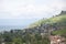 Houses amidst Vineyards besides Lake Geneva