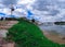 Houses, boats, wharfs, Trees and flowers on Sydney George River mouth at Tom Uglys Bridge NSW Australia.