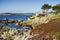 Houses build on the cliffs on the Pacific Ocean, Carmel-by-the-Sea, Monterey Peninsula, California