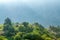 The houses in forest in Danba county in Sichuan province