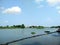 Houses, garden, line border on riverside at rural in Thailand