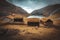 Houses with grass roofs in Saksun on the Faroe Islands