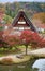 Houses in historic village Shirakawa-go