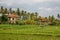 Houses in the jungle. Bali landscape