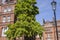 Houses in London, red bricks.