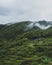 Houses in Mingyue Mountain, Jiangxi, China