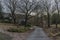 Houses in Nemci village in dark grey winter day