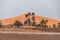 Houses and palm trees in front of the big Sahara Desert in Merzouga, Morocco