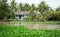 Houses with the river in Ben Tre, southern Vietnam