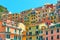 Houses on the slope in Manarola town in Cinque Terre