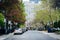 Houses and spring color on McGill Street, near Ryerson University, in Toronto, Ontario.