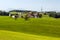 Houses surrounded by meadows