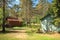 Houses surrounded by pine trees