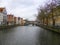 Houses and trees alongside city canal