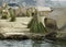 Houses on the Uros Floating Islands made of tortora rushes