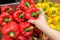 Housewife is shopping Ripe Yellow and Red Peppers in Vegetables market