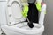 Housewife washing and disinfecting toilet, in gloves with detergent and brush