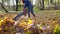 Housewife woman blowing colourful leaves with leaf blower machine in garden