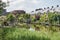 Housing blocks around a green canal