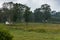 Housing on edge of Ilapura marsh land, Karnataka, India.