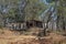 Housing On The Gem Fields In Outback Australia