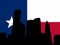 Houston with Texan flag