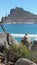 Hout Bay Leopard Seascape