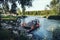 Hovercraft in the river Katun Altai Krai