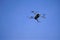 Hovering electronic drone against clear cerulean sky