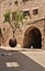 Hovering Orange Tree. Jaffa. Israel.