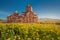 Hovhannavank monastery and church exterior and yellow tansy flowers. Travel and religious destinations of Armenia