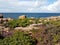 Hovs Hallar, Sweden, a typical image of the rocky coastal landscape of the Westcoast with Heather blooming up front.