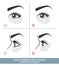 How to Apply Under Eye Patches and Protection Pads for Eyelash Extensions Properly. Hold Down Bottom Eyelashes