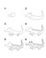 How to draw Crocodile step by step cartoon illustration with white background