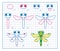 How to Draw Insect, Step by Step Lesson for Kids, Cute Dragonfly Coloring Page