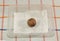 How to germinate avocado concept. Avocado seed on wet napkin