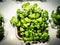 How to grow basil using hydroponics - topview