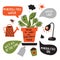 How to grow carnivorous plant. Funny hand drawn infographic poster about venus flytrap. Vector design