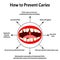 How to prevent the appearance of caries. Bad breath. Halitosis. The structure of the teeth and oral cavity with caries