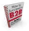How to Succeed in B2B Business Advice Information Book
