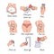 How to use woman menstrual cup during periods. Instruction how to insert blood cup to womans body. Line art icon set