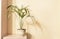 Howea houseplant in flower pot on wooden shelf with shadows on beige wall. Trend monochrome minimal floral design