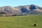 Howgill Fells in Winter seen from near Beck Foot